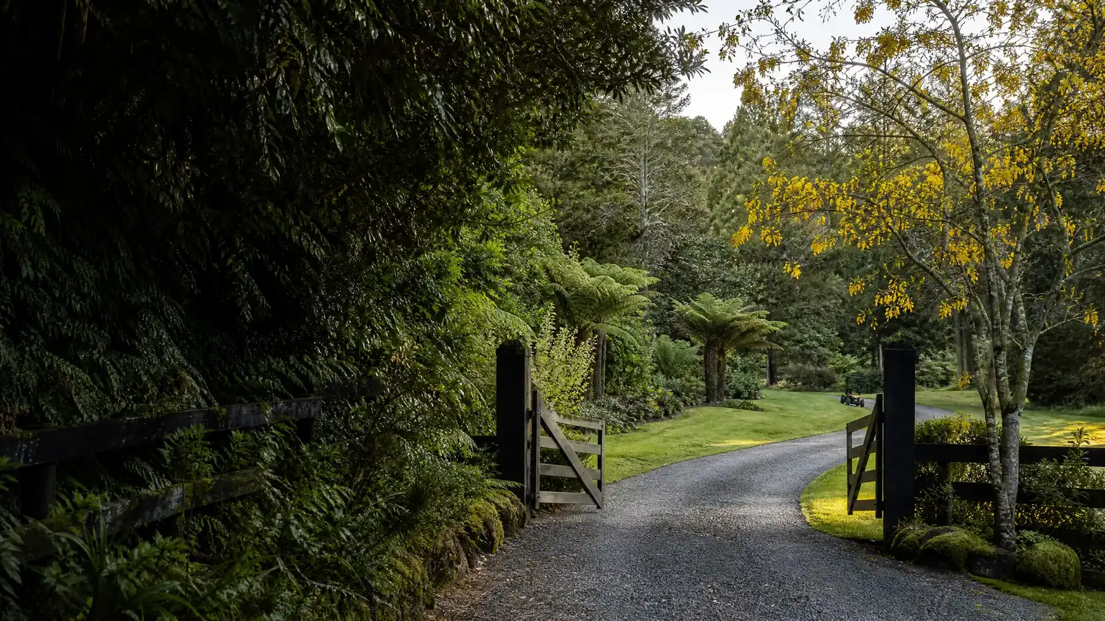 Well-maintained New Zealand lifestyle property entry with native bush and flowering kōwhai