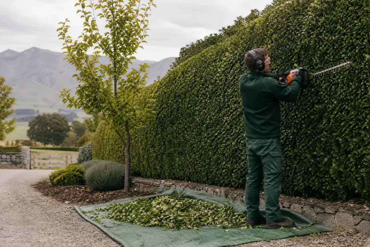 Professional ground-level hedge trimming at a lifestyle property